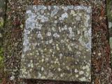 image of grave number 614423